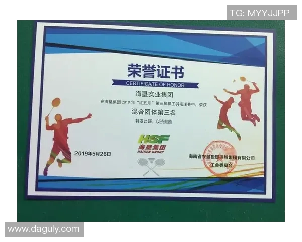 南京羽毛球队团队协作的成功秘诀与实践探索分析